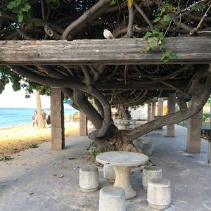 Meet your Posher, Ginette